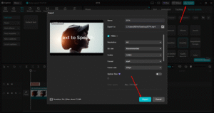 Export Video