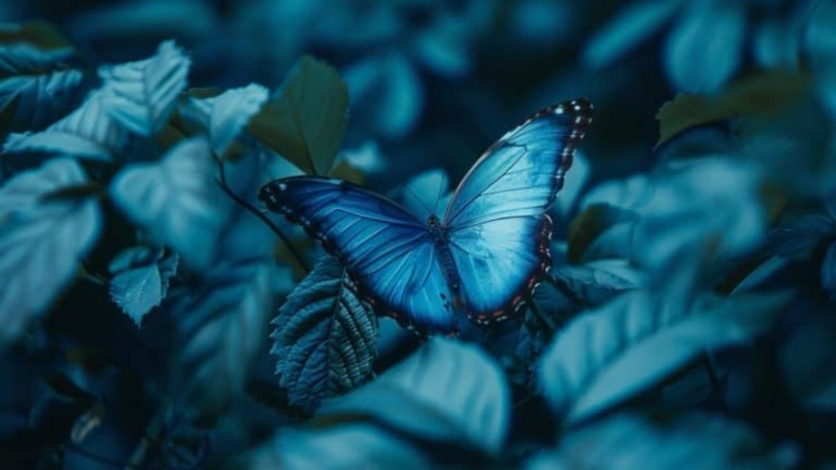 The Science of Cyanová: Understanding Its Role in Color Theory