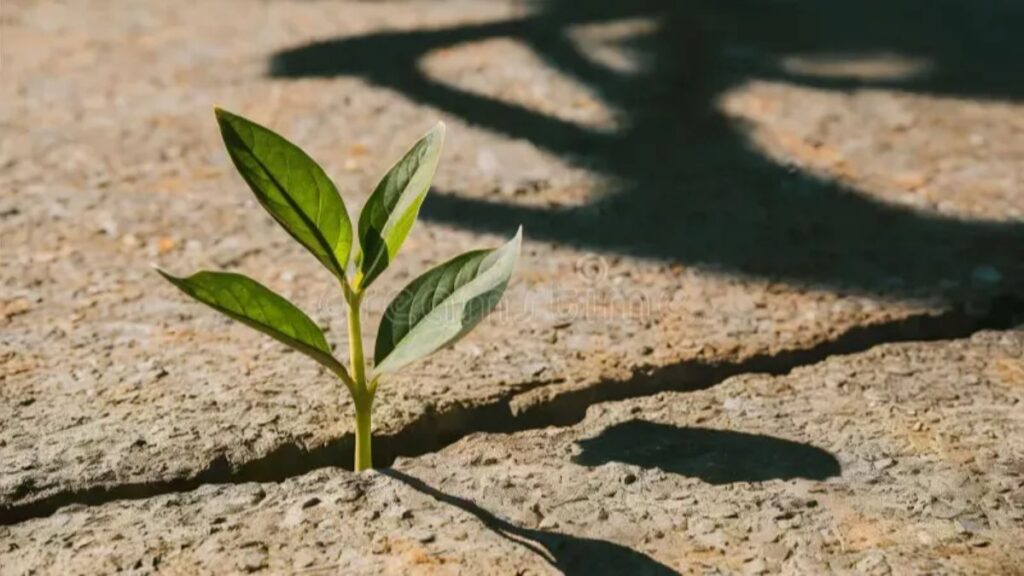 Findutbes Isn’t a Tool—It’s a Mindset. Here’s Why It Matters