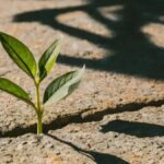 Findutbes Isn’t a Tool—It’s a Mindset. Here’s Why It Matters