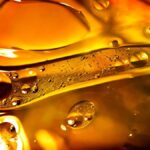 Why Yellow Grease Matters: How Restaurants and Businesses Can Turn Waste Into a Resource