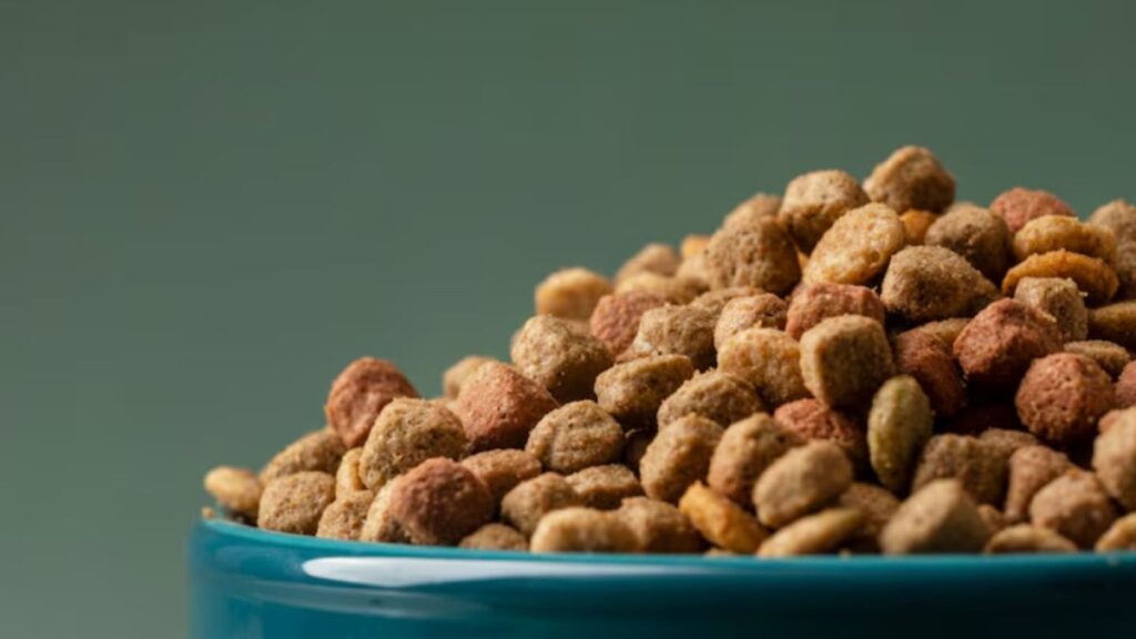 Zero Grain Dog Food
