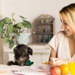 Top Reasons to Choose Chóim24h for All Your Daily Needs