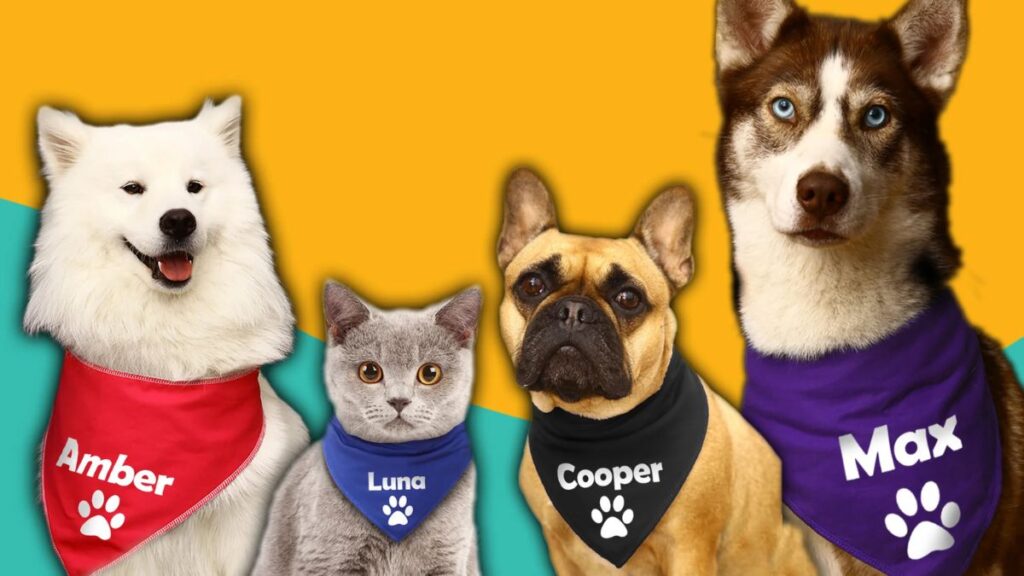 Dog Bandanas