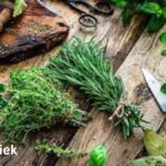 The Science Behind Foenegriek: What You Need to Know