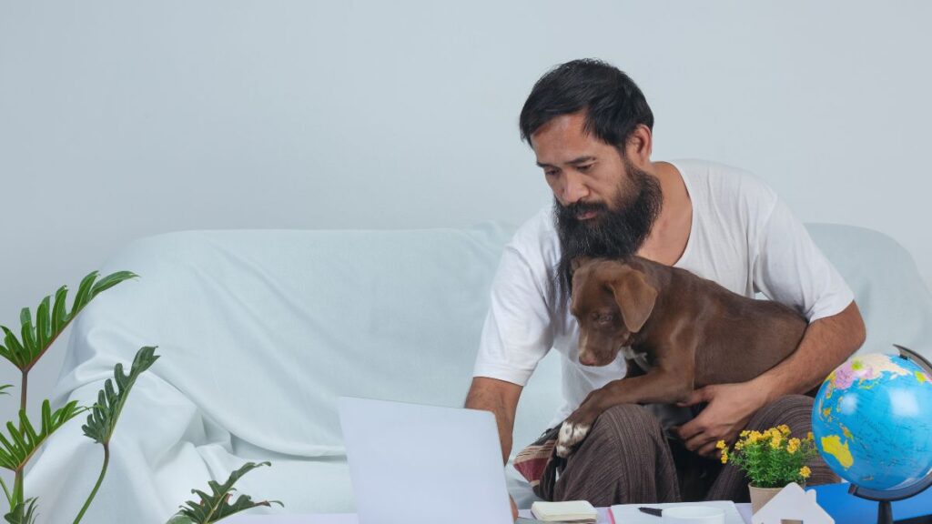 Pet5ardas com