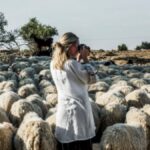 From Sheep to Shop: The Journey of Woolrec and Its Impact on Fashion