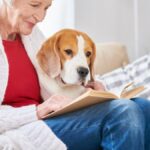 The Benefits of Living in Pet-Friendly Apartments: A Home for You and Your Pet