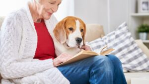 Pet-Friendly Apartments