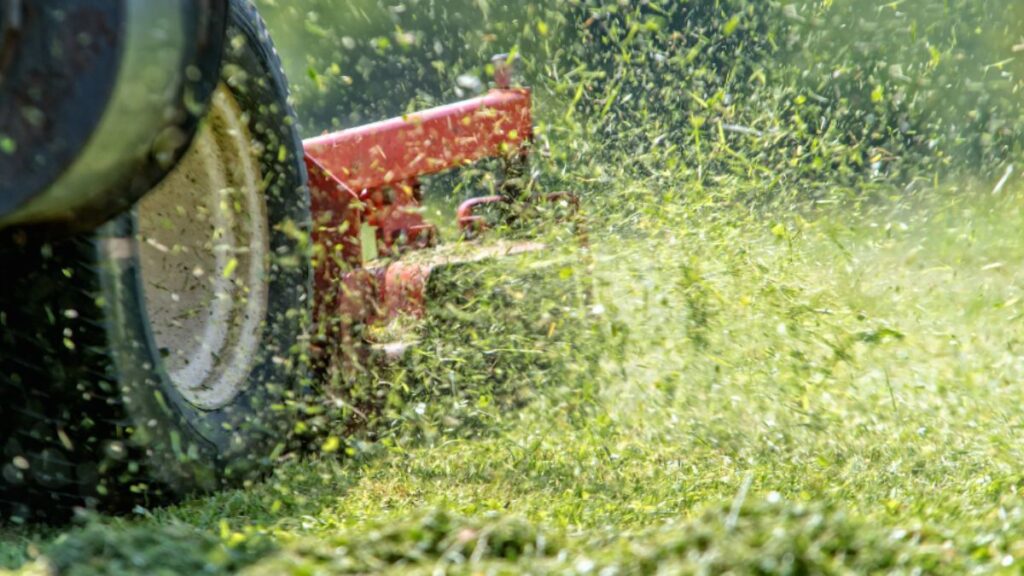 Sustainable Lawn Care