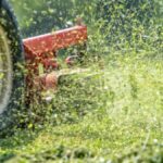 Sustainable Lawn Care Practices for a Greener Tomorrow