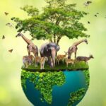 Exploring the Importance of Viltnemnda in Conservation Efforts