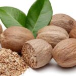 Exploring Jayfal: The Versatile Nutmeg of the Tropics