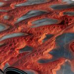 The Rise of Obernaft: A Comprehensive Overview