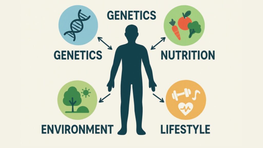 How Root Cause Medicine Is Transforming Everyday Health