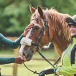 Why MyHarness is Essential for Modern Equestrian Enthusiasts