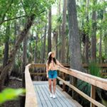 Top Attractions to Experience in Florida 904 Region