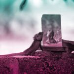 Why MyReadibgMsngs Matter: A Personal Exploration