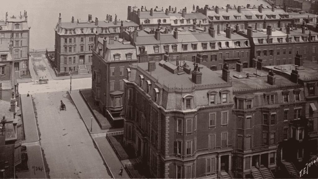 boston brahmin types