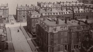 boston brahmin types