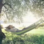 Why Cavazaque Should Be Your Next Vacation Destination