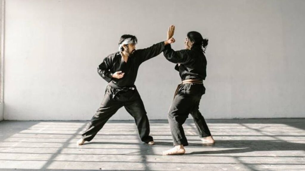 Self-Defense Instructor Certification | ASFA