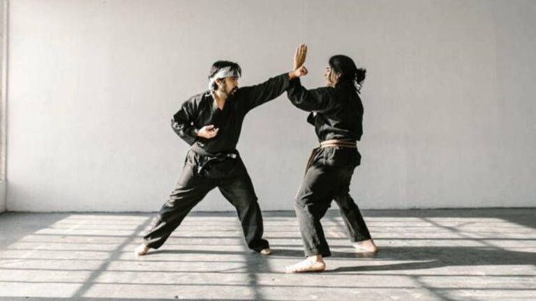 Self-Defense Instructor Certification | ASFA