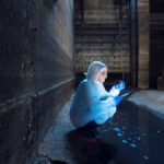 Finding a Crawl Space Inspection Company in Arizona