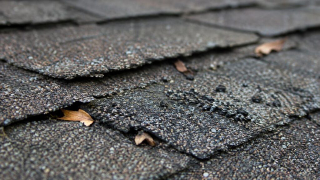 A Roof Care Calendar for Greensboro, North Carolina: Simple Checks That Catch Problems Early