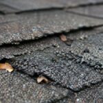 A Roof Care Calendar for Greensboro, North Carolina: Simple Checks That Catch Problems Early